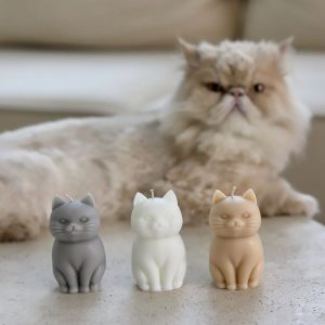 Котешка свещ