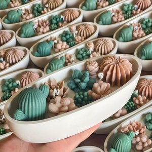 Голяма гондола със сукуленти